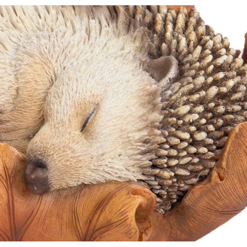 Vivid Arts Baby Hedgehog in Leaf Highly Detailed Home or