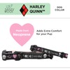 Sassy Woof Dog Collar Harley Quinn™ - S, Adjustable, Durable,