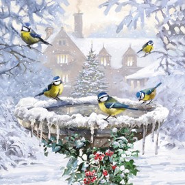 Pack of 10 Charity Christmas Cards (PH-CHPT0082) - Winter Birdbath - 10 Cards of 1 Design From Paper House