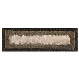 Army AGSU Overseas Bar Male