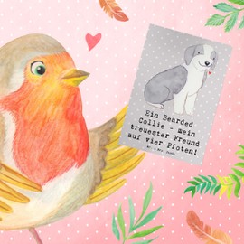 Mr. & Mrs. Panda Grußkarte Bearded Collie Freund - Geschenk, liebenswert, Geburtstagskarte, Hunde, treuester Freund, Bearded Collie Familie,