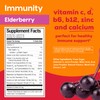Hydrant - Immunity Electrolyte Powder, Elderberry Flavor, 30 Instant Rehydration