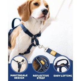DF Freedom No Pull Martingale Dog Harness and Leash Set, Safety Control to Stop Pulling, Reflective and 5 Point Adjustable, Padded Handle for Easy Support, Navy Blue Pro, 1", Chest 30.4" - 45.2"