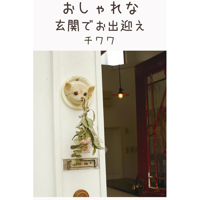 Kishima KH-61245 Gardening Entrance Object Miscellaneous Goods Wall Hook Decoration,