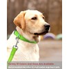 Reflective Dog Collar with Buckle Adjustable Safety Nylon Collars for