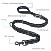 Dog Leash Multifunctional Strong Durable Buffer Training Traction Rope Pet