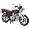 Aoshima Bunka Kyozai (AOSHIMA) 1/12 The Bike Series No. 24