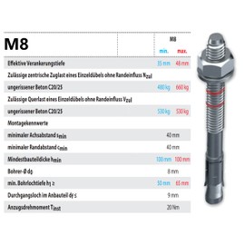 M8 x 130 mm – 10 Pieces/Heavy Duty Anchor Option 7 Bolt Anchor Galvanised with ETA Approval in Industrial Quality Anchor Bolt Wedge Anchor Heavy Duty Do