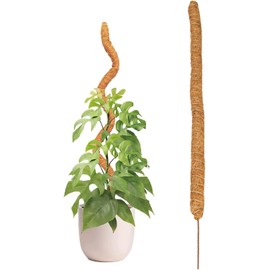 90cm Estacas Flexibles para Fibra Coco,Estacas Apoyo para Fibra Coco,Natural Tutores para Plantas, Fibra Coco, Soporte para Poste Musgo