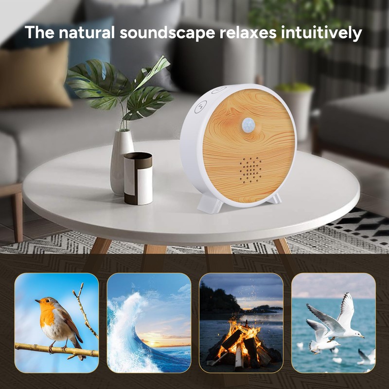 Satisure Nature Sounds Box with Motion Sensor, Wall Mount Timer,