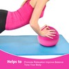 TRIXES Pink Pilates Ball Exercise Exercise Ball Made of PVC