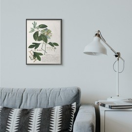 Stupell Industries Botanical Plant Illustration Green Leaves Vintage Design Black Framed Wall Art, 16x20