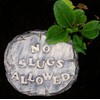dennycraftmoulds 2 x Concrete Molds No Slugs Allowed Grow You