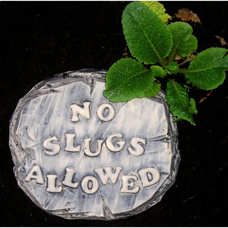 dennycraftmoulds 2 x Concrete Molds No Slugs Allowed Grow You