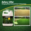 Endurant Turf Colorants - Premium Spray On Green Grass Paint