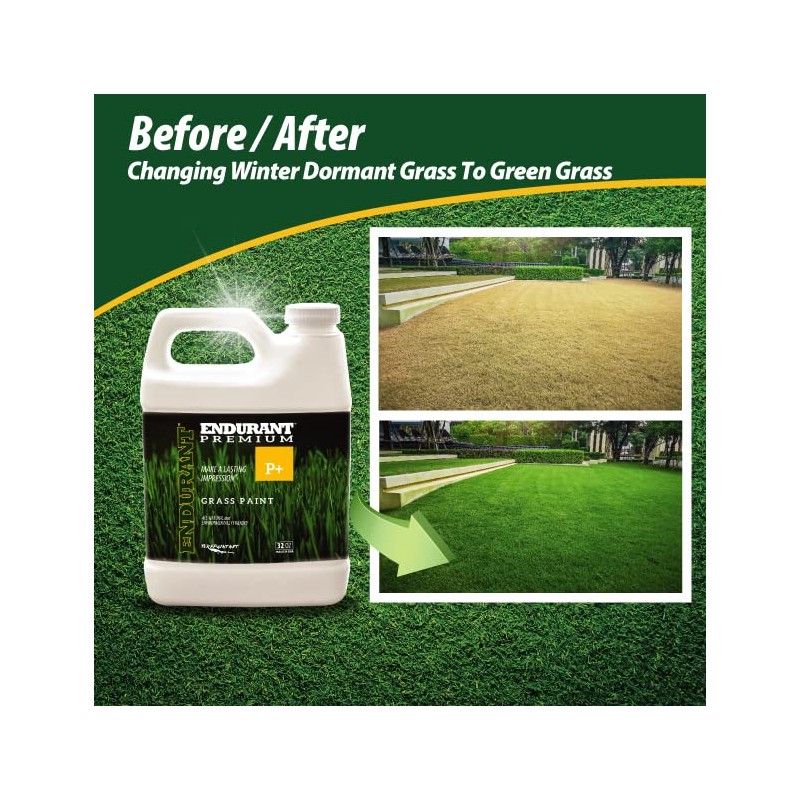 Endurant Turf Colorants - Premium Spray On Green Grass Paint