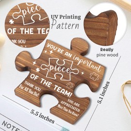 Team Member Appreciation Gifts, Puzzle Piece Thank You Sign, Employee Recognition Gifts for Colleagues AXX25