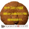 国産 特大 霊芝 200g 大きい 肉厚 れいし レイシ (200ｇ×1）きのこの石原産業