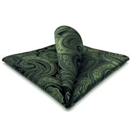 SHLAX&WING Mens Pocket Sqaure Hanky Dark Green Paisley Large 12.6 inches Silk