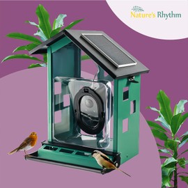 Bird Feeder Squirrel-Proof Bird Feeder with Camera Watch The Birds Feed