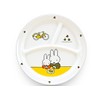 Miffy round three 仕切 Lunch Plate 23 cm Diameter cm