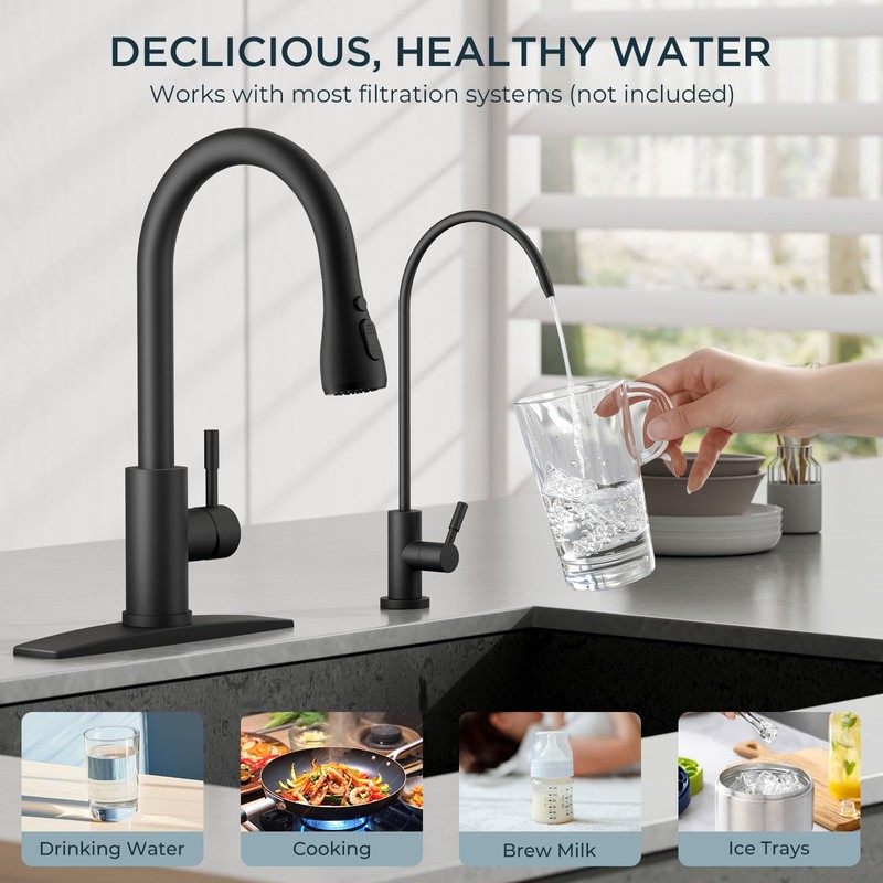 FORIOUS Kitchen Faucet and Water Filter Faucet Combo, Black Stainless