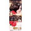 Salon de Pro Hair Manicure Speedy 5A Ash Brown 100g