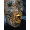 Skeletons And More Lighted Corspe Head Display