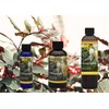  Mystic Romance Premium Scent Oil Set of 3 2oz+4oz+8oz