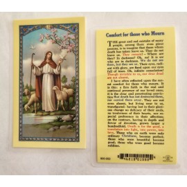Comfort for those who Mourn - Laminated  Holy Cards