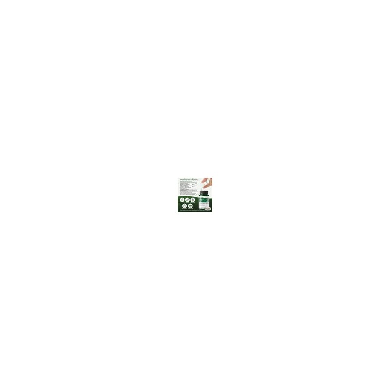 Windboss Nad Capsules 100 Cápsulas Suplemento