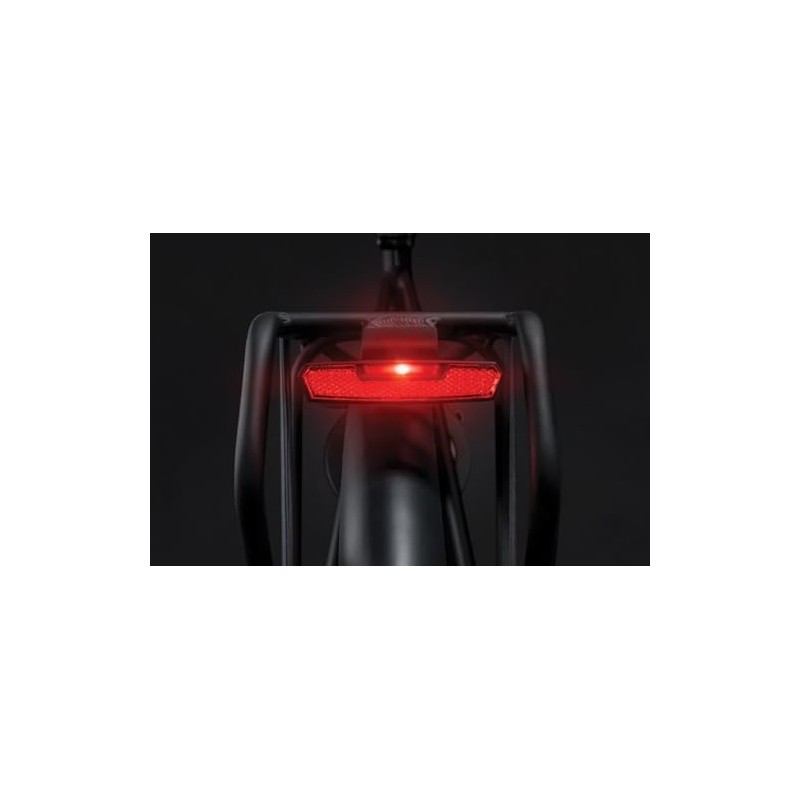Axa Unisex - Adult Juno Rear Light Black 6-12V 80mm