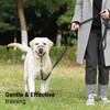 SVD.PET No-Pull Dog Headcollar for Easier Walks, Chew-Proof Protector to