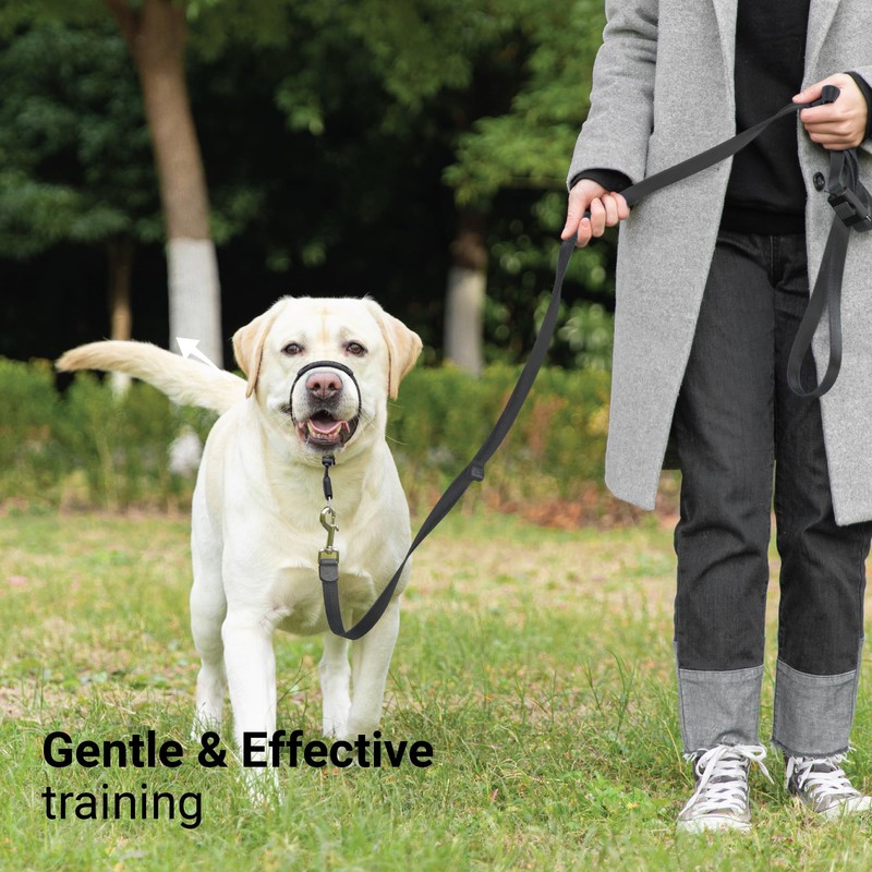 SVD.PET No-Pull Dog Headcollar for Easier Walks, Chew-Proof Protector to