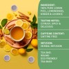 HANDPICK, Lemon Ginger Tea Bags (100 Count) | Ingredients -
