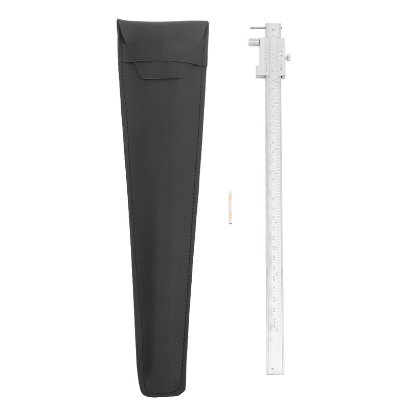 Stainless Steel Vernier Caliper Parallel Scribing Ruler with Carbide Head