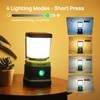 Consciot LED Battery Powered Camping Lantern, 1000LM, 4 Light Modes,