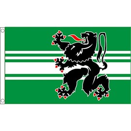 East Flanders Belgium - 5'x3' (150cm x 90cm) Flag