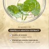 SKIN1004 Madagascar Centella Asiatica Ampoule Suero facial (1.85 onzas) –