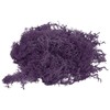 MECCANIXITY 7 OZ Moss Fake Craft Moss Artificial Moss Natural