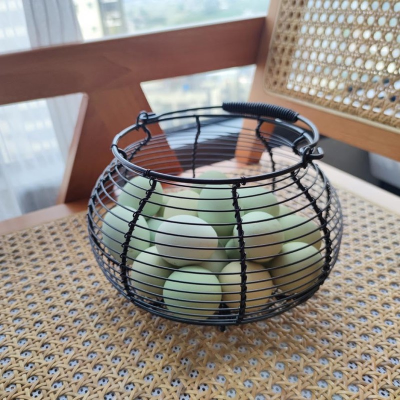 Farmhouse Wire Egg Baskets for Gathering Fresh Egg With Handle,