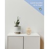 Belafi - Cabeza de Buda en Vela Decorativa con Aroma,