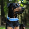 Genuine Leather Dog Collar | Full Grain, Heavy Duty, Comfortable,