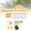 Queen Bee Rearing System Plastic Breeding Cell Cup Kit Beekeeping