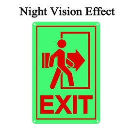 Bidesign (12x8) IN Exit Sign Glow in the Dark Illuminated Photoluminescent Exit Vertical Projecting Sign Use For Home Office Hallway Business PVC Outdoor Indoor Decorations