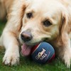 GiGwi Dog Toy Gigwi Tennis Ball Large 3P