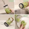 Kitmiido Organic Seed Sprouting Jar Kit – 2 × 32
