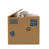 XLKJ Cat Money Box, Electronic Piggy Bank, Gift for Children