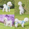 Pet Harness Dog Harness, Ultra Small Dog Harness, Medium Dog