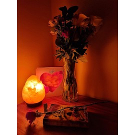Dimmable Salt Lamp, Natural Himalayan Crystal Rock Salt Lamp Pink Light, Hand Crafted Wooden Base Direct from Foothills of The Himalayas Home Decor, Night Light & Gifts